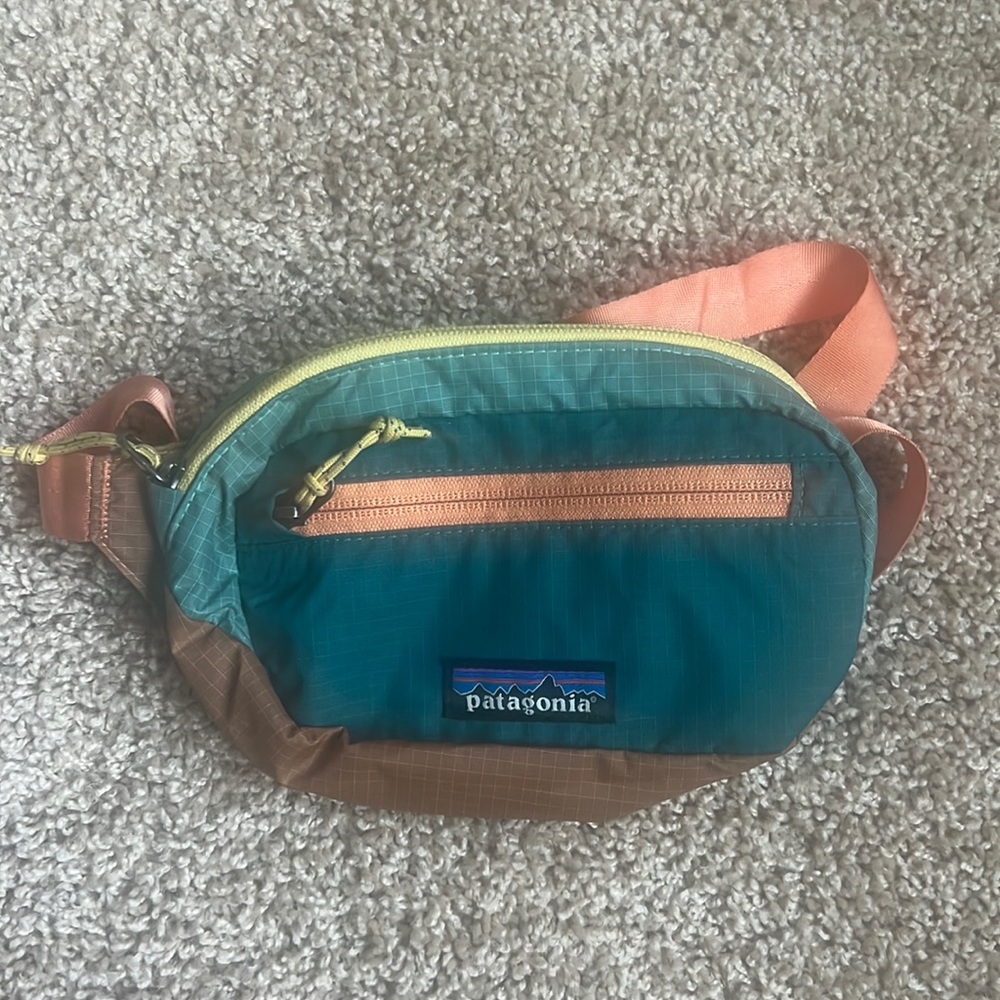 Patagonia Ultralight Black Hole® Mini Hip Pack 1L